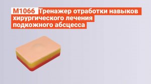 М1066 - Тренажер отработки навыков хирургического лечения подкожного абсцесса