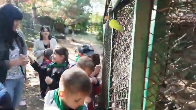 Сегодня, 4 октября, в России отмечаются день, посвящённый защите всех наших братьев меньших. смотреть онлайн