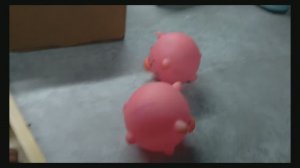 ВСТРЕЧАЕМ ВЕСНУ С МОИМИ ГОВОРЯЩИМИ СВИНКАМИ! МНОГО ВЕСЕНИХ АНТИСТРЕССОВ ДЛЯ СВИЛИ И СИВЛИ!