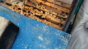 3 марта беглый осмотр есть потери