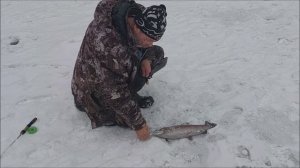 На запуске работают блёсны. Клёвое место, Лосиный остров, верхний водоём