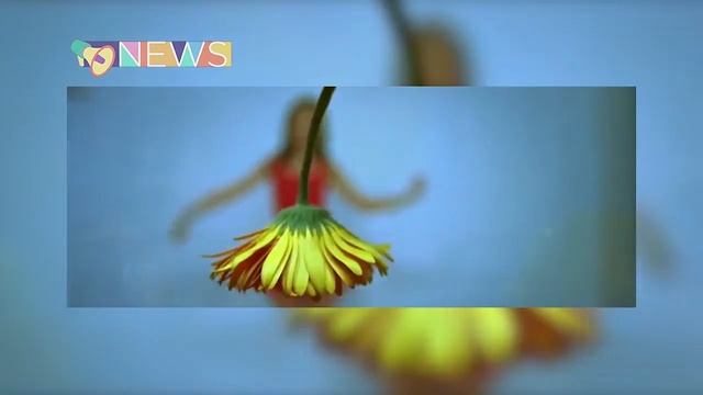 Корган возвращается! смотреть онлайн