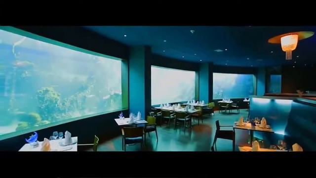 Конференция для всех 2016 смотреть онлайн