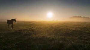 Андрей Бандера- Выткался на озере алый свет зари....