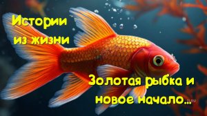 Как найти счастье после развода: История о золотой рыбке и новой семье ❤️ | Трогательная история