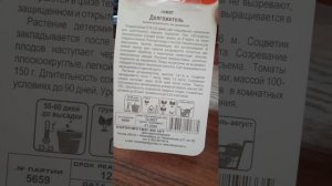 Вторая половина февраля  2025 года