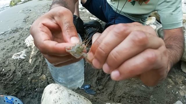 ХАКАН   Catch and Cook 2024. Bushcraft Camping