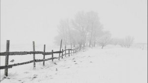 Зимняя Вьюга в Деревне. Звуки Зимы. Снежная Пурга в Деревне Утром