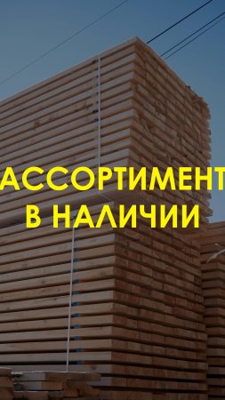 АССОРТИМЕНТ В НАЛИЧИИ