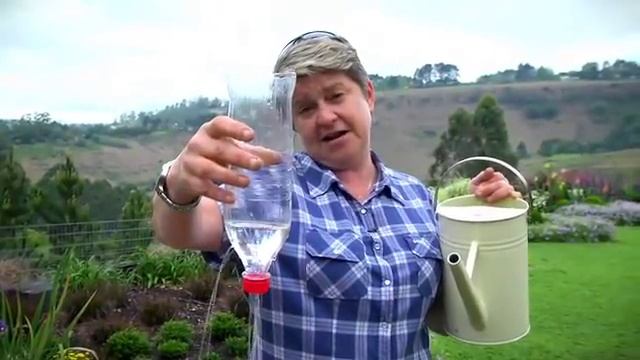 Water-Wise Gardening Ideas смотреть онлайн