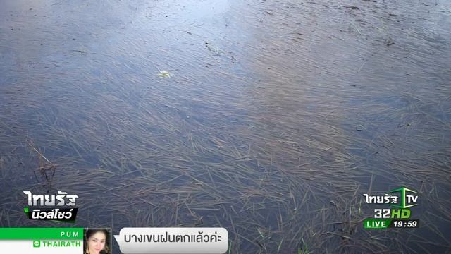 น้ำท่วมข้าวร้อยเอ็ด เสียหาย 3 แสนตัน | 19-08-60 | ไทยรัฐนิวส์โชว์ смотреть онлайн