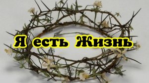 Я есть Жизнь. Молитвенные Действия. 03.03.25г.