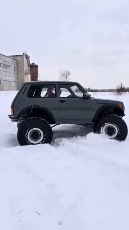 Нива зверь