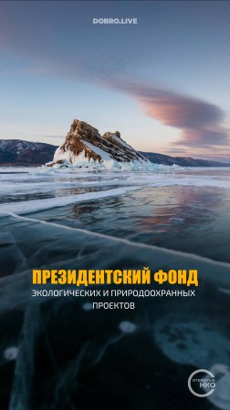 Учрежден Президентский фонд экологических и природоохранных проектов