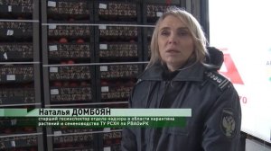 Контроль импортных томатов