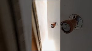 Продается дом в х. Кравцов,Красногвардейский р-н, Белгородская обл. Тел 89100309077