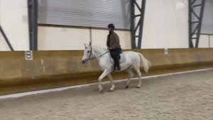 Тимур Бурин - Езда верхом