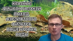 Красные фишбон галакси Выход аэрлифтного фильтра выше уровня воды