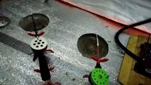 #уелги  Зимний карась глухозимье уелги хорошо клевало ночная рыбалка#fishing зимняя рыбалка