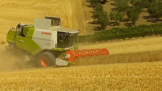 Claas TUCANO 430 MONTANA 4 CON BARRA 6.60 смотреть онлайн