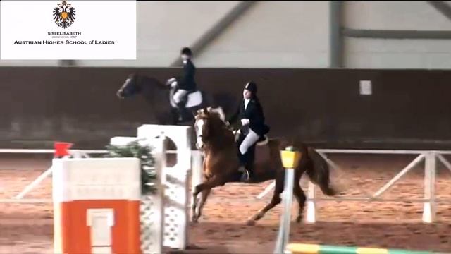 школа ВИДИО AHSL смотреть онлайн