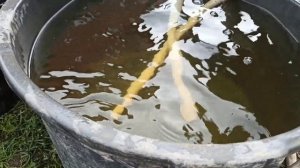 разведочное бурение абиссинки