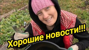 ХОРОШИЕ НОВОСТИ | Ответы по ГАЗУ | Жизнь в деревне | Деревенские будни