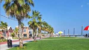 Umbrella Beach Fujairah