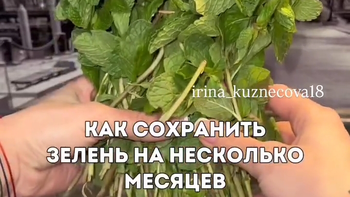 ЛАЙФХАК как сохранить Зелень...🌿👍