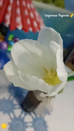 Тюльпан 🌷Весна 🌷 Эмоции 🌷