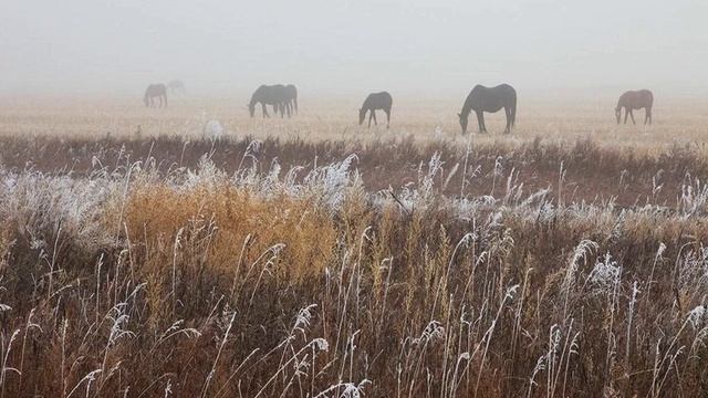 Краеведческий калейдоскоп. Вып. 1