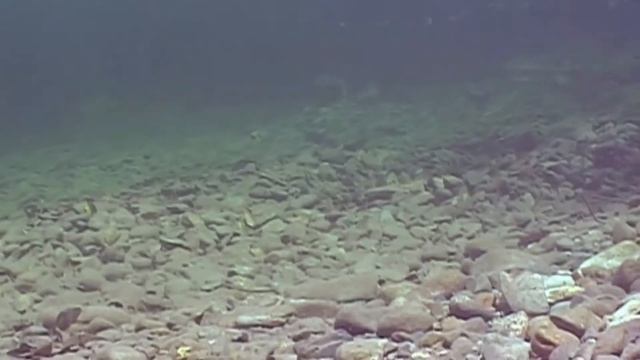 Диалоги о рыбалке Хабаровск часть 2 смотреть онлайн