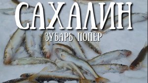 Сахалин - пошёл зубарь на озере Изменчивое