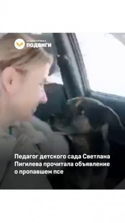 В Татарстане нашли пса, который спас семью от пожара и потерялся