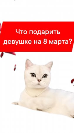 ЧТО ПОДАРИТЬ ДЕВУШКЕ НА 8 МАРТА?