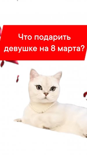 ЧТО ПОДАРИТЬ ДЕВУШКЕ НА 8 МАРТА?