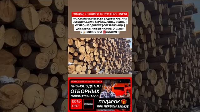 Промо ролик о Компании ПИЛОРАМА #ХОЧУДОСКУ Заготовки к весне (зимний лес)