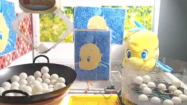 Got [Flounder - Chibis Mega Jumbo Plushy]!! смотреть онлайн