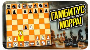 Гамбит Морра - эффектный разгром Сицилианской защиты. Шахматы