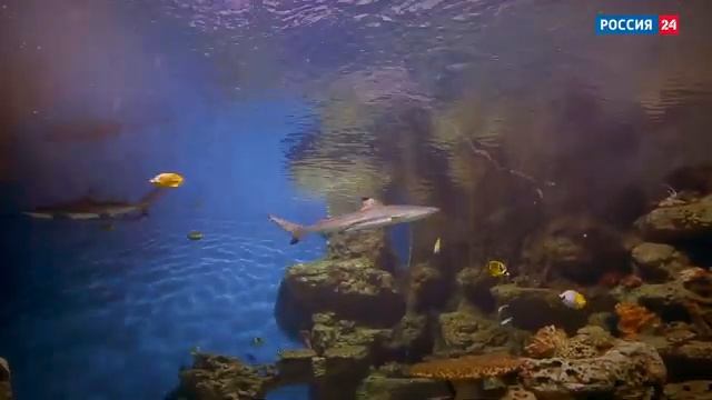 Мотивация фильм смотреть онлайн