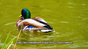 "Высшая Сила". 21 марта. Мужество меняться. Ежедневник для созависимых.