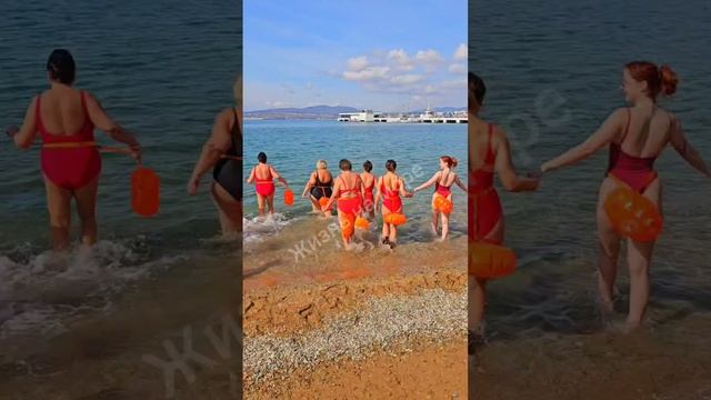 Масленица масленицей а моржи Геленджика идут плавать🐬 Море сегодня кристальное 👍😁