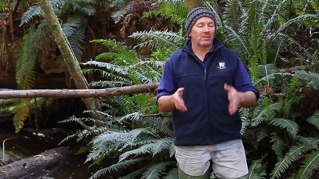 Save the Lobster смотреть онлайн