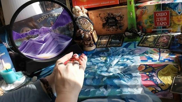 БУМЕРАНГИ В ЗЕРКАЛЬНУЮ ДАТУ Ковинам и свинье-Родственнице