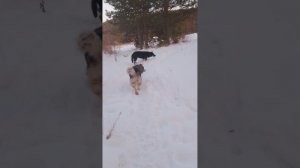 немного обо мне
