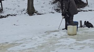 03.03.25 г. Парк отдыха водопад