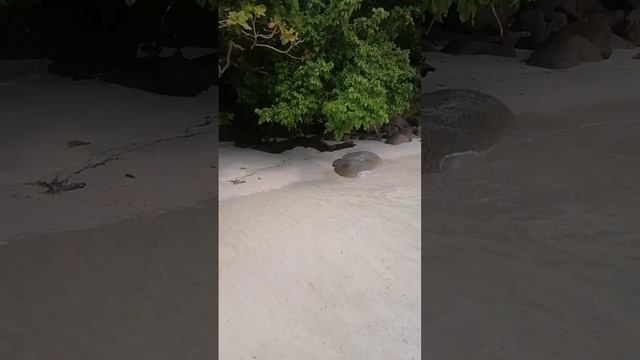 15 декабря 2022 г. смотреть онлайн