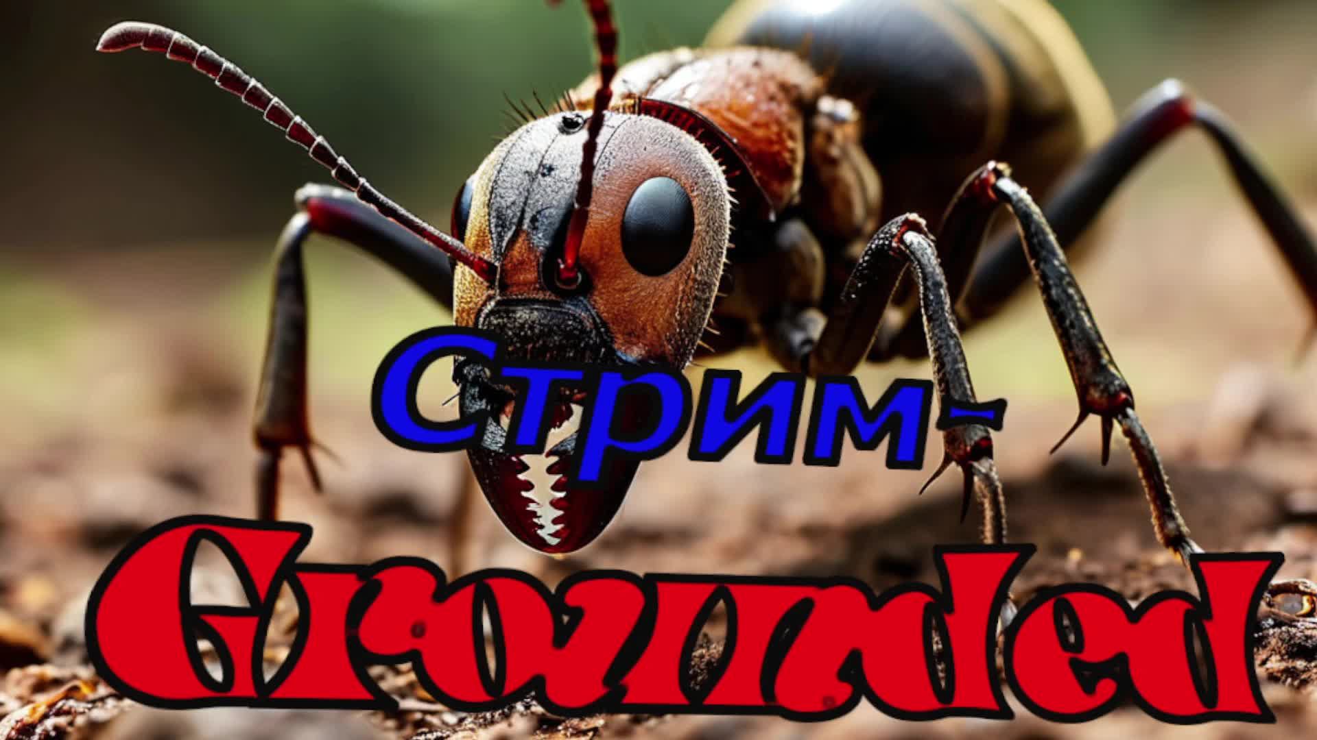 Стримм-Grounded