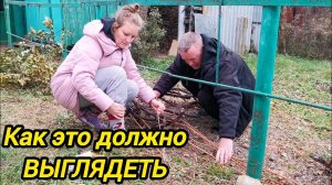 КАПЕЕЕЦ КАК ДОЛГО | Как это должно ВЫГЛЯДЕТЬ | Деревенские будни | Дом в деревне