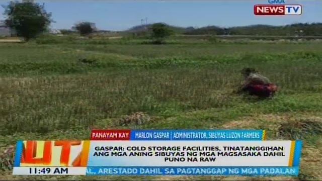 BT: Panayam kay Marlon Gaspar, Administrator, Sibuyas Luzon Farmers смотреть онлайн
